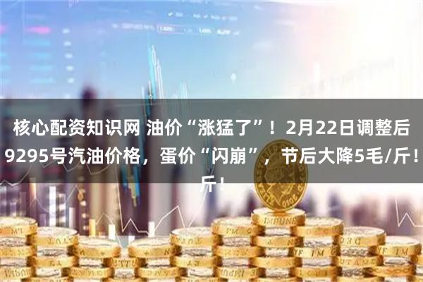 核心配资知识网 油价“涨猛了”！2月22日调整后9295号汽油价格，蛋价“闪崩”，节后大降5毛/斤！