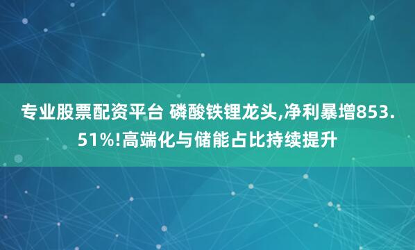 专业股票配资平台 磷酸铁锂龙头,净利暴增853.51%!高端化与储能占比持续提升